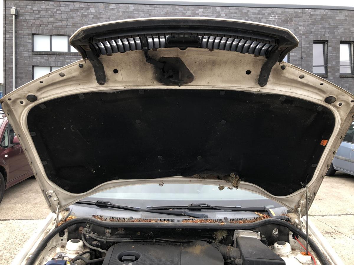 Skoda Fabia 6Y Praktik Motorhaube Haube Klappe Deckel vorn Grill LF9E Candywei&szlig;