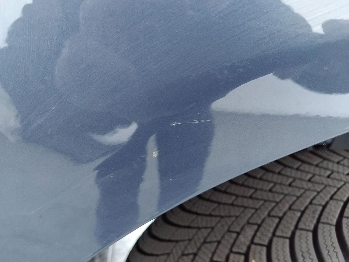 Lada Vesta GF original Kotfl&uuml;gel vorn rechts 492 blues perl BJ2019