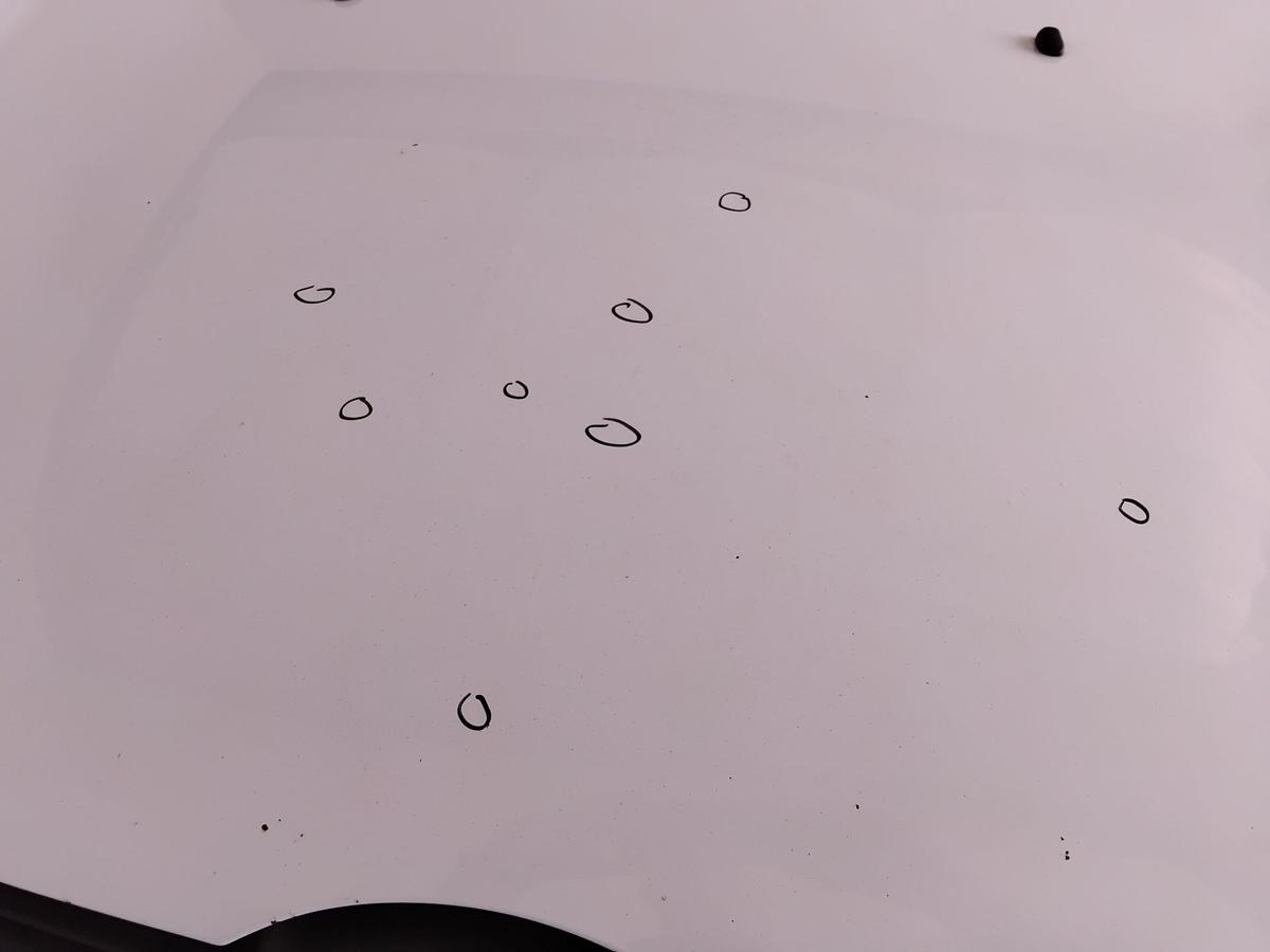 Ford Fiesta JA8 original Motorhaube frostweiß BJ2009