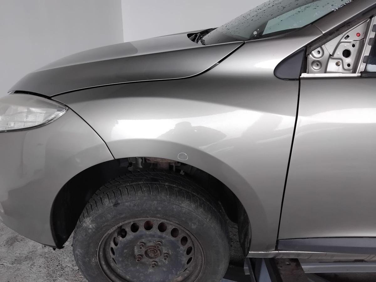 Renault Megane 3 original Kotfl&uuml;gel vorn links TEHNK Beige Cendre Nacre BJ2008