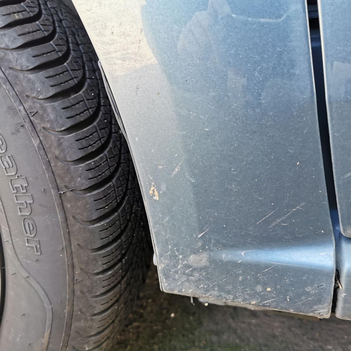 Kotflügel Fender vorn links TERNF Blau Grau Dacia Logan LS0 BILDER