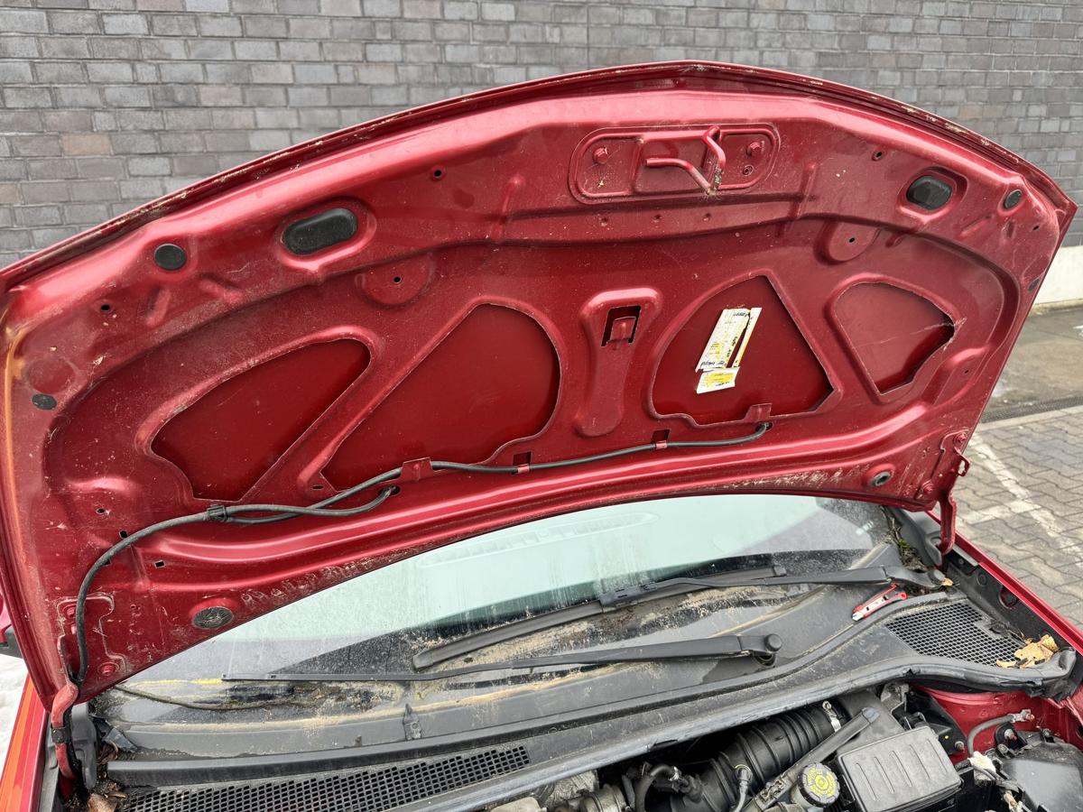 Renault Clio 3 original Motorhaube TENNJ Rouge Dyna ROT Bj.2009