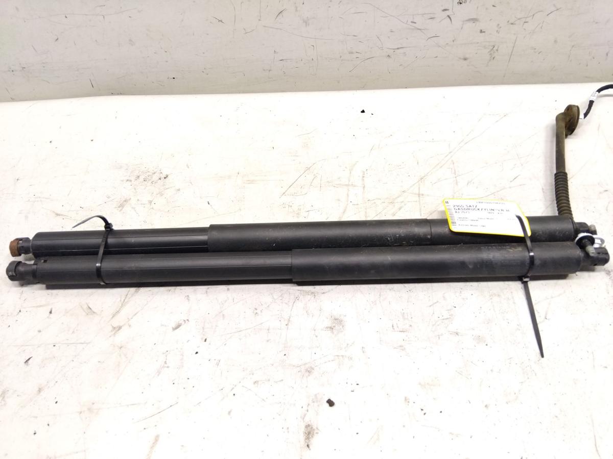 Tesla Model Y original Satz Gasdruckd&auml;mpfer Heckklappe 150060120B BJ2023