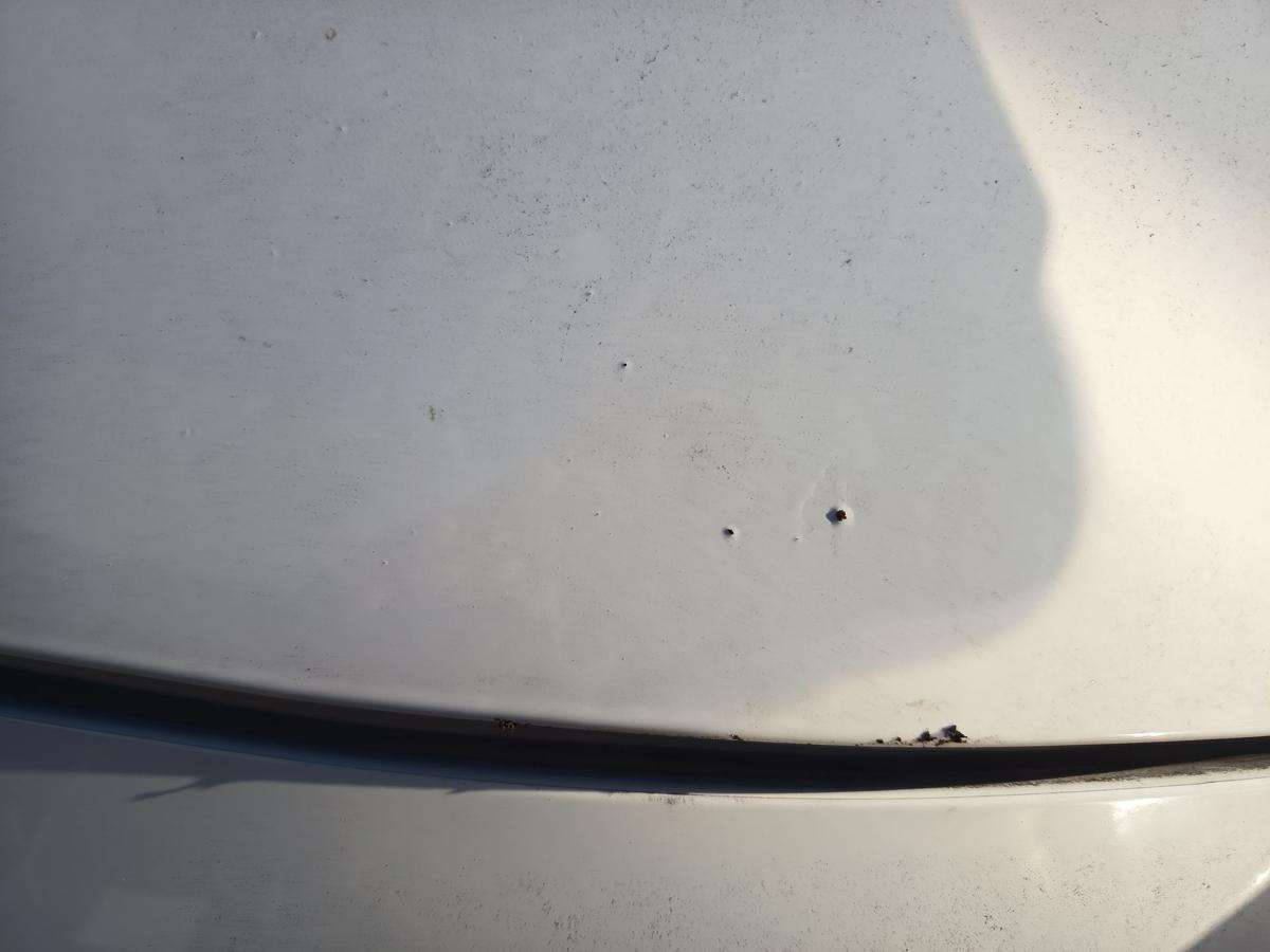 Peugeot 206+ original Motorhaube Klappe/Deckel vorn/Front EWP Polarwei&szlig; Bj 2012