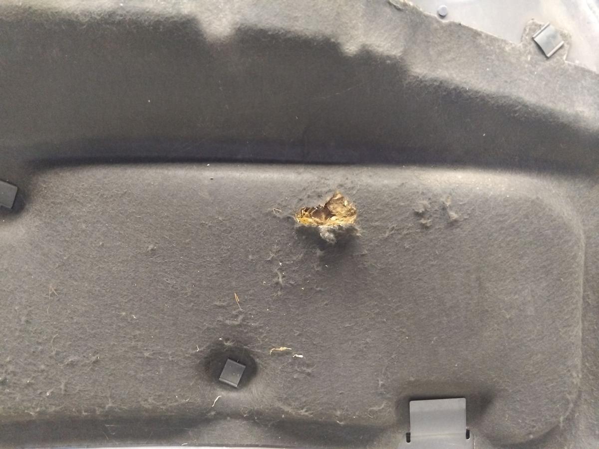 Opel Zafira B original Motorhaube Klappe Deckel vorn BJ2007 Z168 Metro Blue