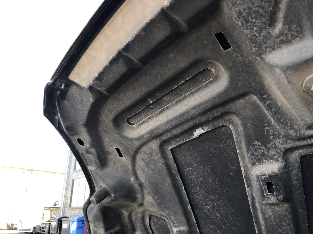 Ford Focus DA3 ab07 Motorhaube Haube Klappe Deckel vorn Panther schwarz