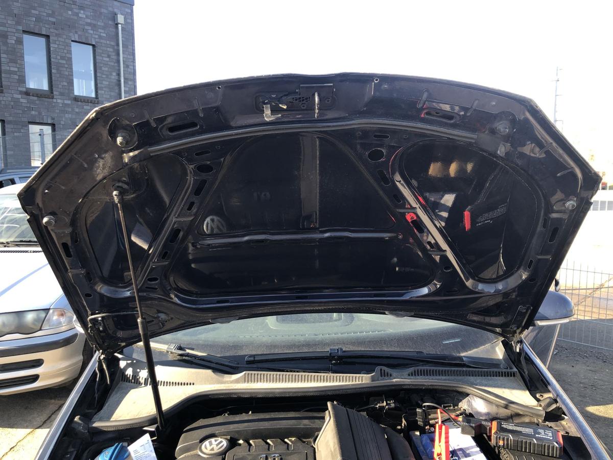 VW Golf 5 V 1K Motorhaube Haube Motorklappe vorn LA5G Perlblau