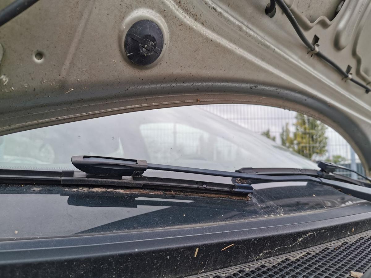 Renault Clio III Motorhaube Haube Klappe Deckel Bonnet vorn TED11 Beige Pepper