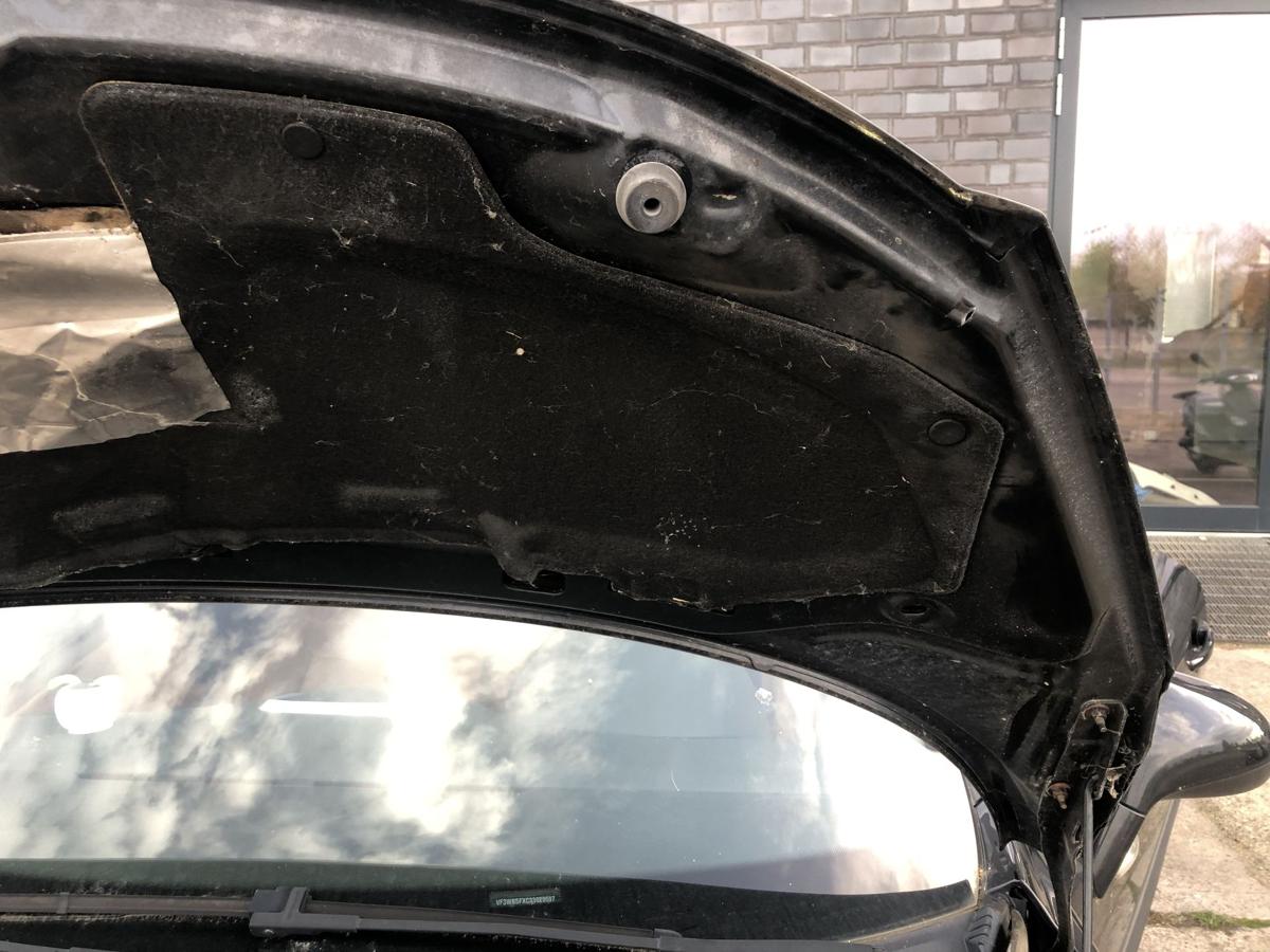 Peugeot 207CC Motorhaube Haube Klappe Motorklappe EXL Schwarz Obsidien Metallic