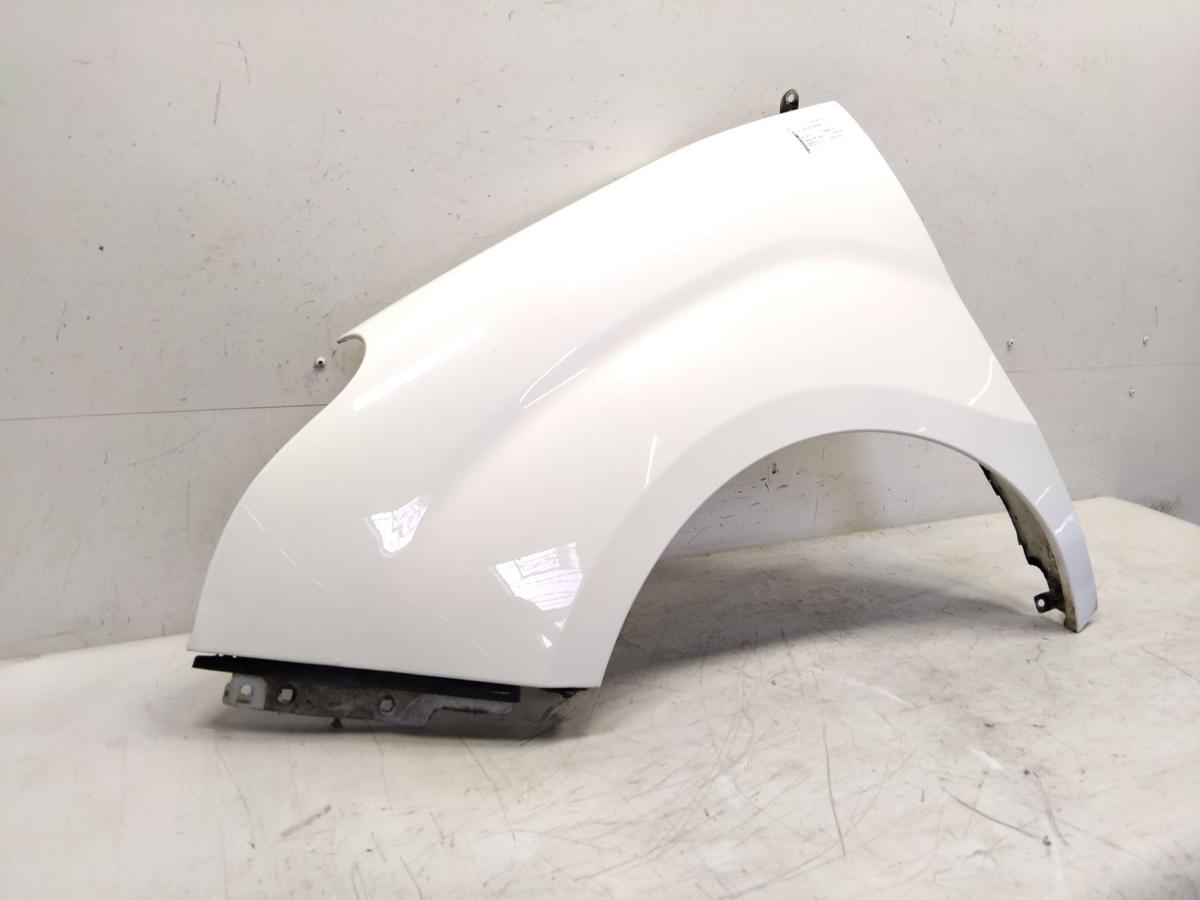 Fiat Doblo 263 Cargo Maxi original Kotflügel vorn links BJ2010 weiss 249 bianco banchisa