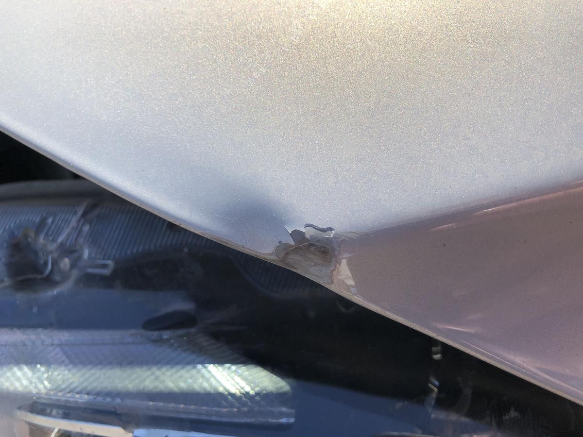 Nissan Micra K14 Motorhaube Haube Klappe Deckel vorn Beschädigt KNV Warm Silver