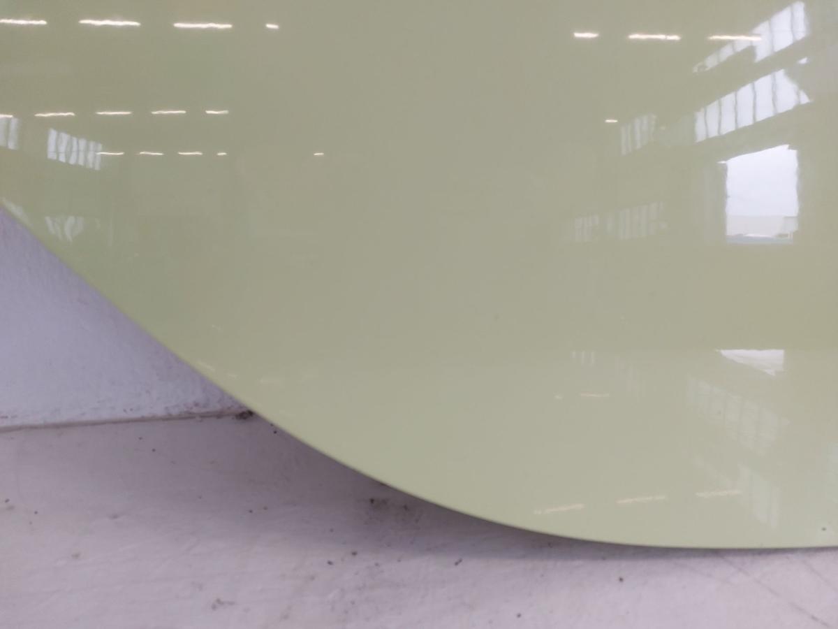 Smart 450 nur Cabrio Türpaneel rechts Beplankung Tür Beifahrer CBS Stream Green