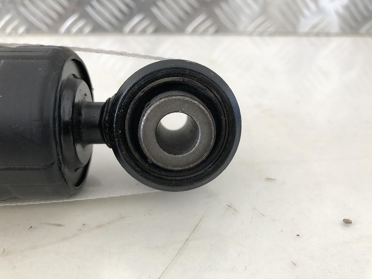 Citroen C3 Typ F Satz Sto&szlig;d&auml;mpfer Hinterachse D&auml;mpfer Neu OE 5206JC