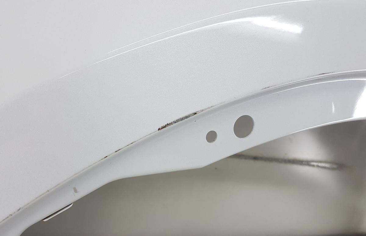 Tesla Model X Kotfl&uuml;gel links in PPSW White Water Pearl Bj2022 1069532-E0-N