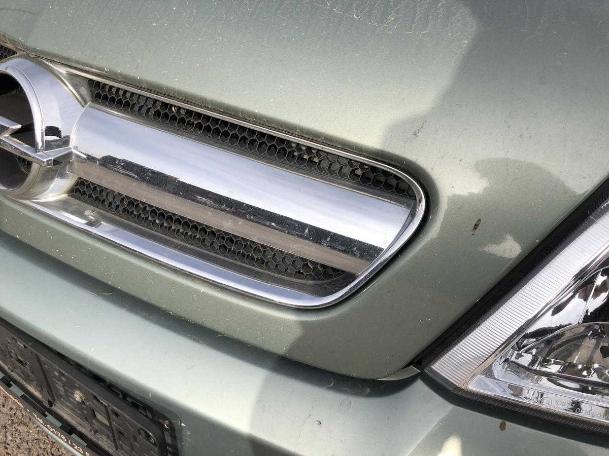 Opel Signum F48 Motorhaube Haube Klappe Deckel Grill K&uuml;hlergrill 3LU Bambusgr&uuml;n