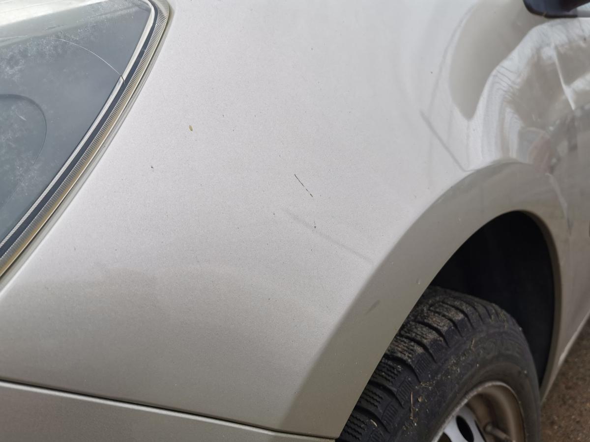 Renault Clio III BR Kotflügel Fender Seitenwand vorn links TED11 BeigePepper 185