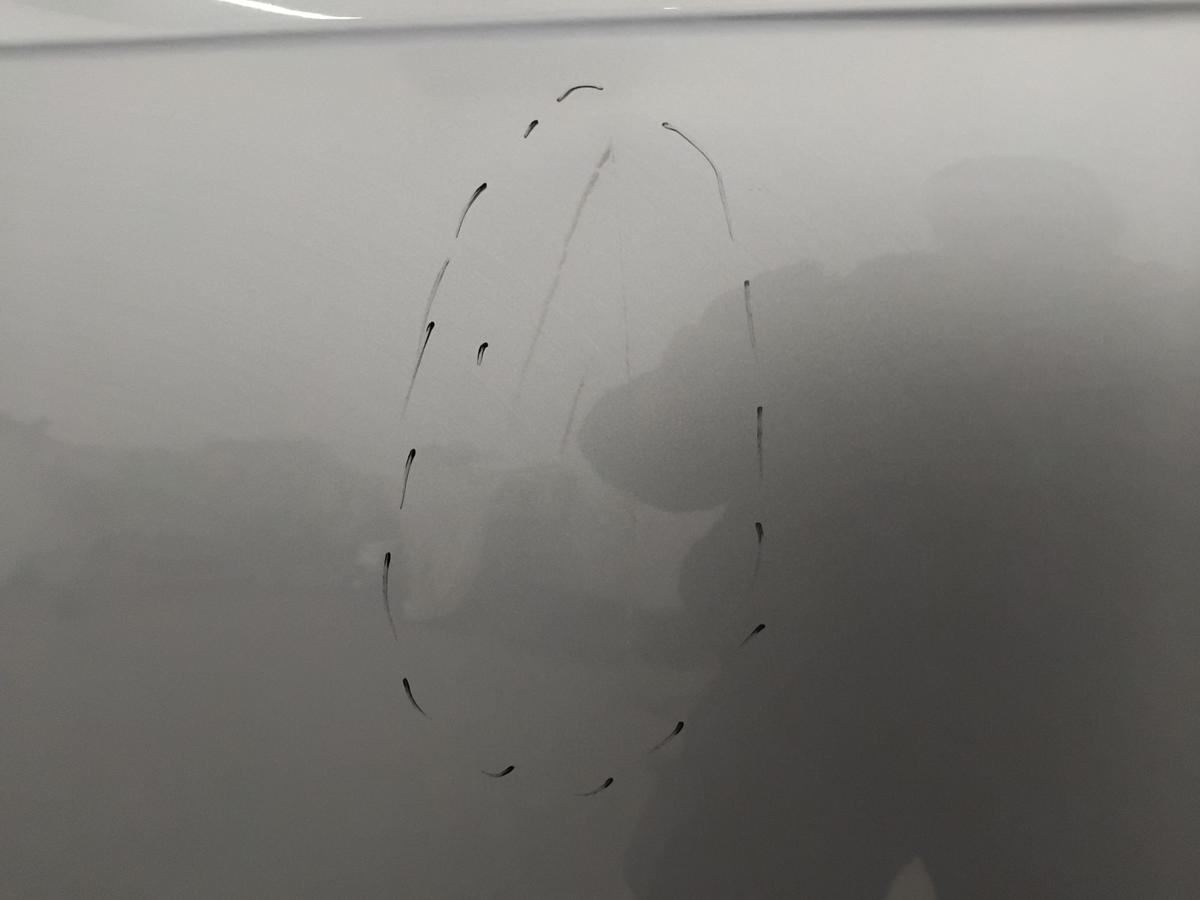 Audi A6 4F Limousine T&uuml;r hinten links LY7H Akoyasilbermetallic BJ2006