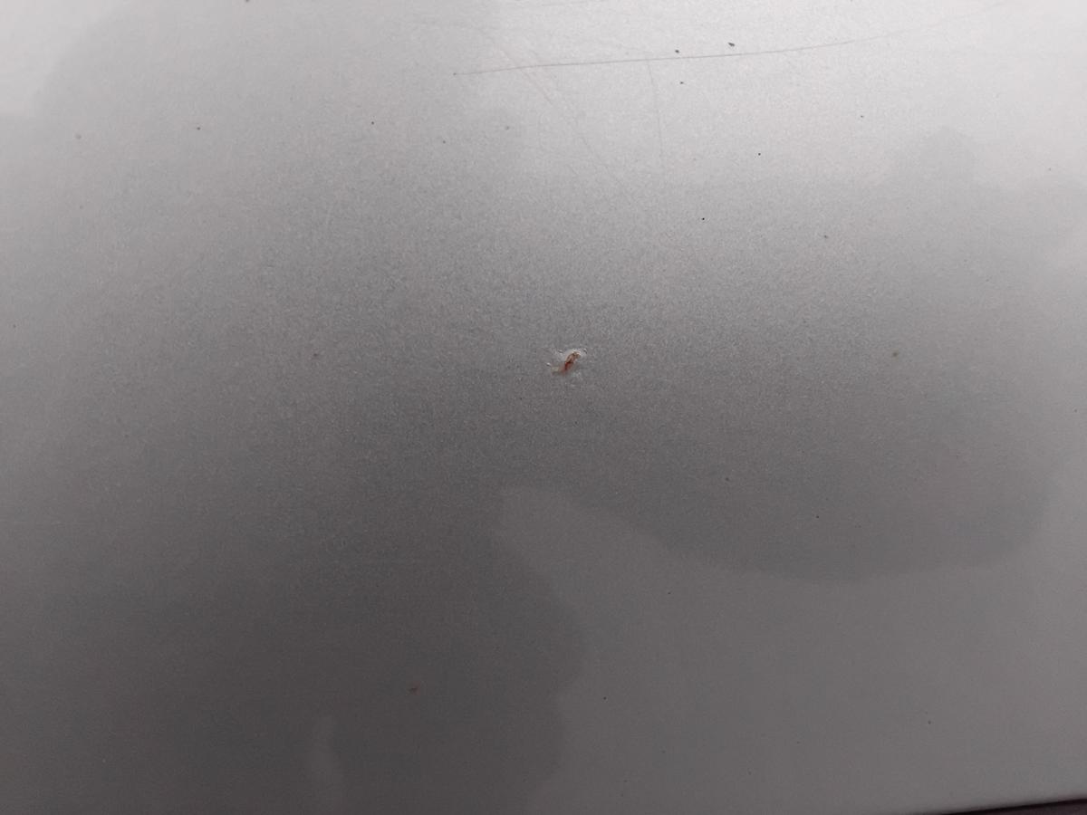 VW Passat 3C T&uuml;r vorn links Fahrert&uuml;r arcticbluesilver LB5M BJ2007