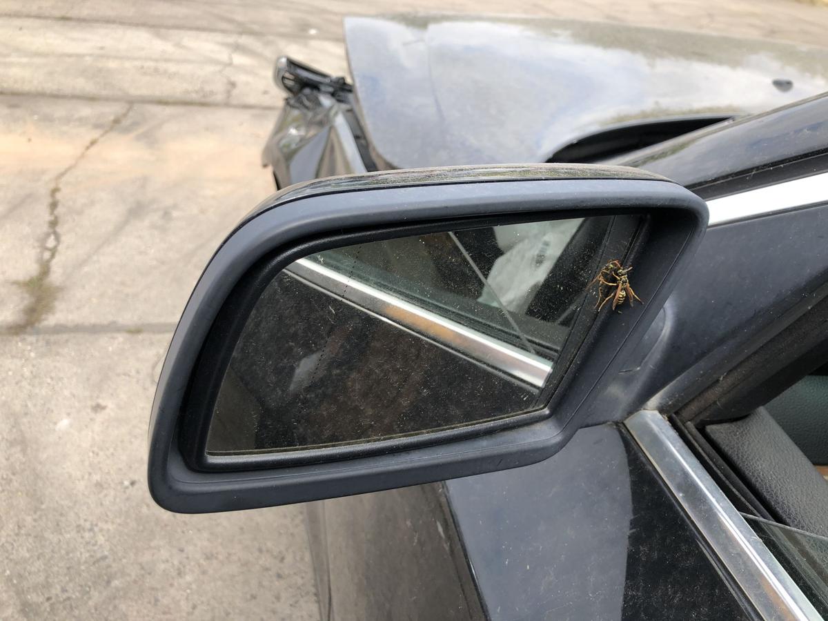 BMW 5er E60 LCI Au&szlig;enspiegel links Spiegel elek anklapp abblend 475 schwarz