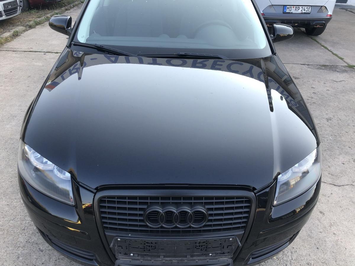 Audi A3 8P Motorhaube Haube Klappe Deckel vorn LY9B Brilliantschwarz ab 2005 3T