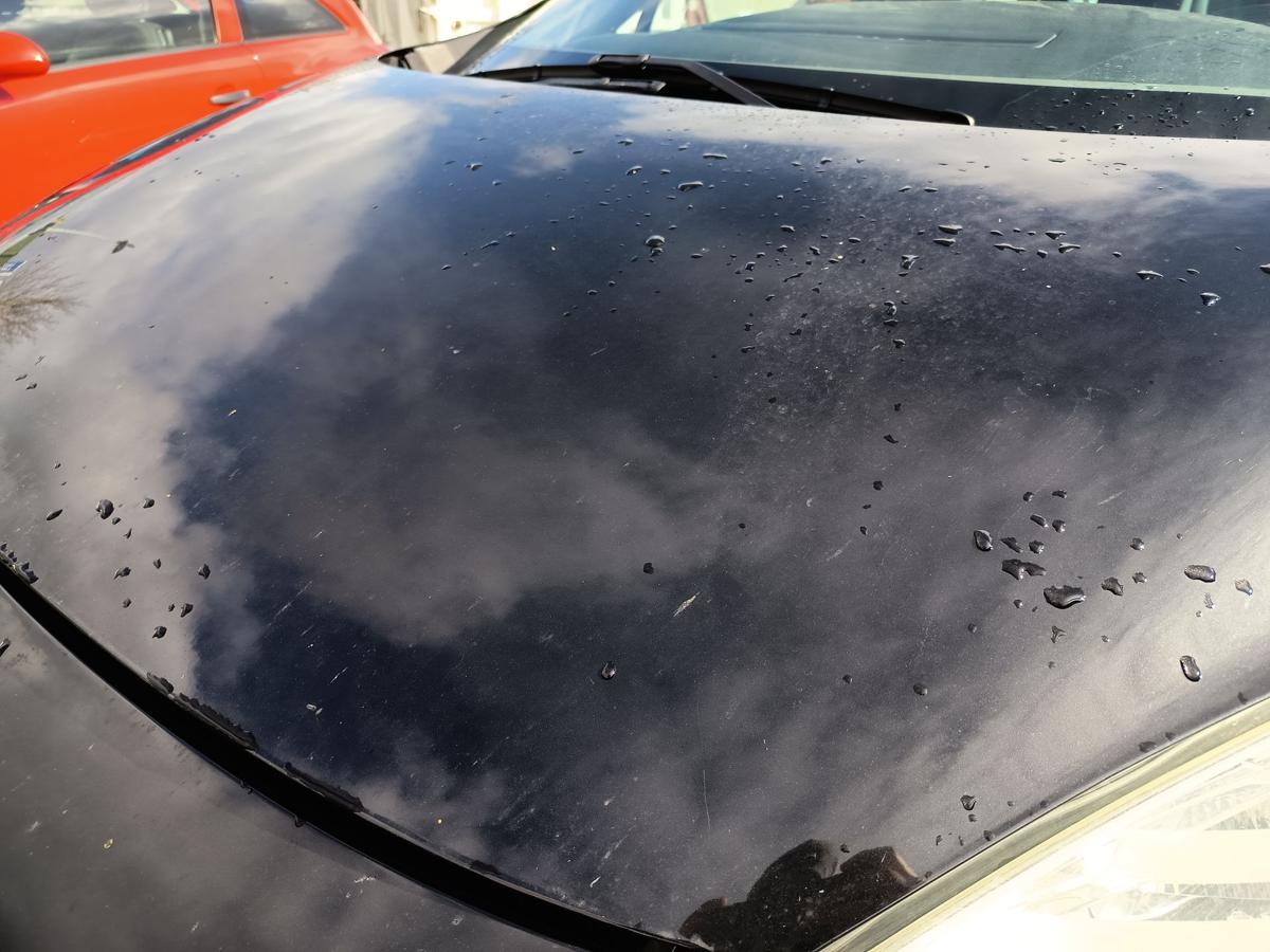 Renault Scenic 3 orig Motorhaube Klappe Deckel vorn Front 676 Perlschwarz Bj2009