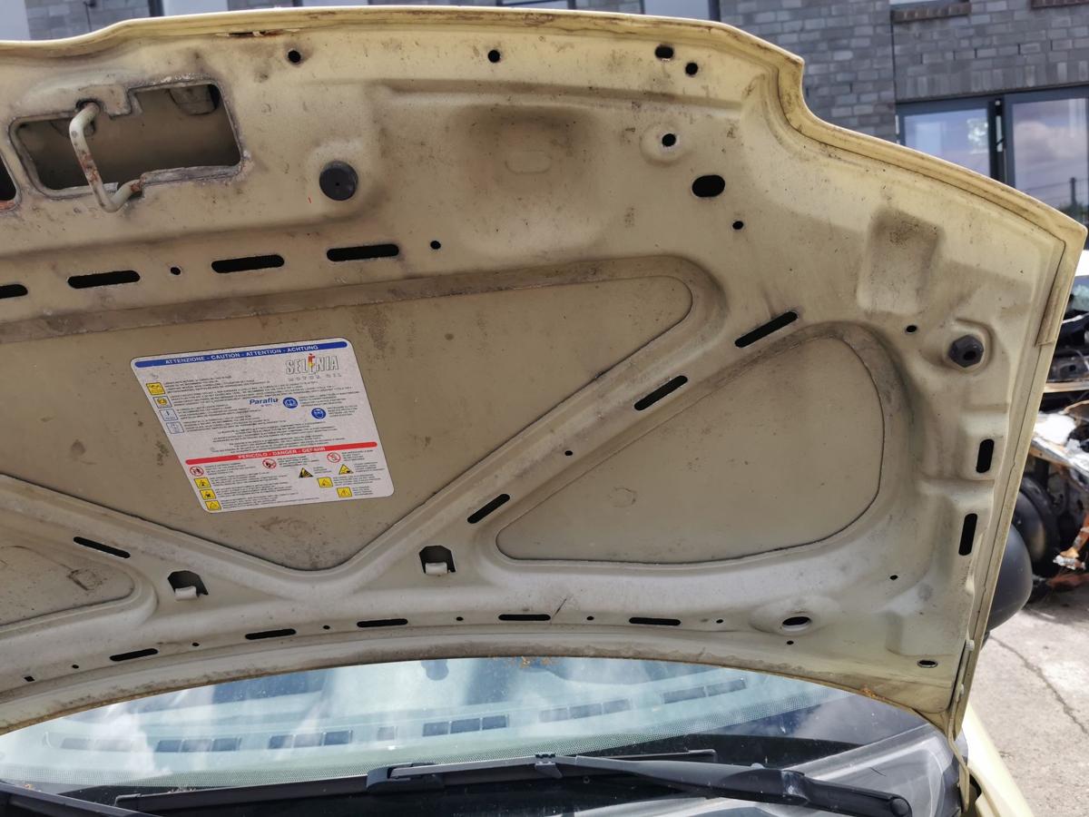Fiat Panda 169 Motorhaube Haube Klappe Bonnet vorn Lackierung erforderlich