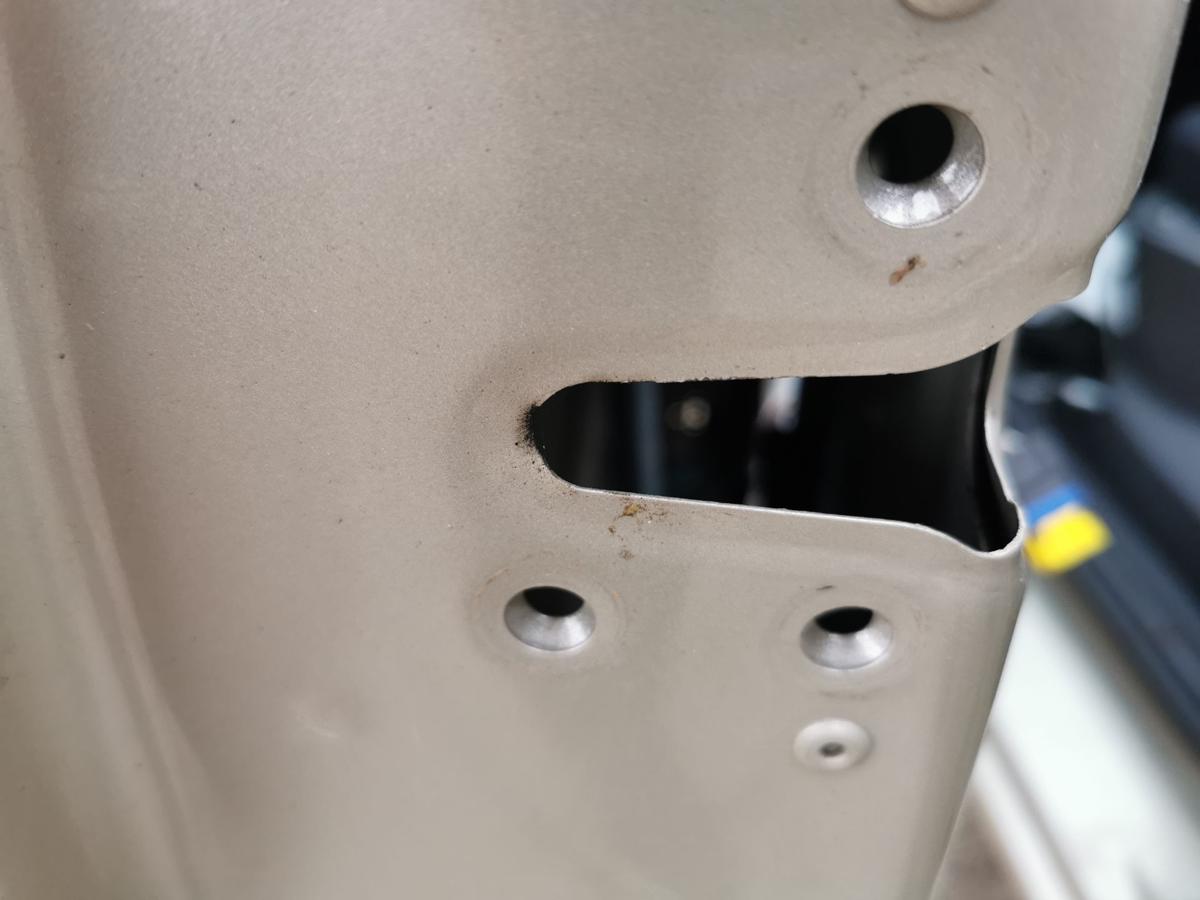 Renault Clio III Fahrertür Tür Autotür Rohbau vorn links 3trg TED11 Beige Pepper