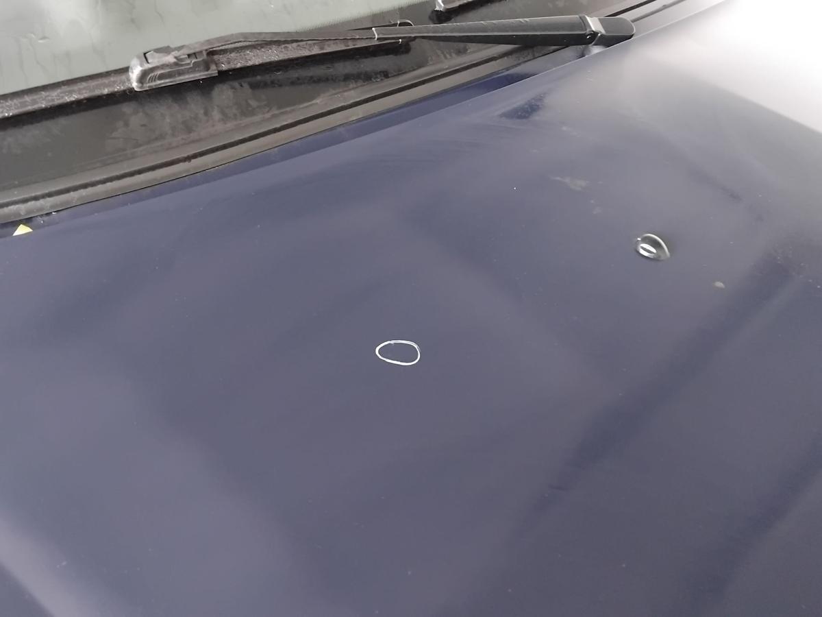 Dacia Logan Kombi original Motorhaube Deckel vorn OVD42 blue navy uni BJ2010