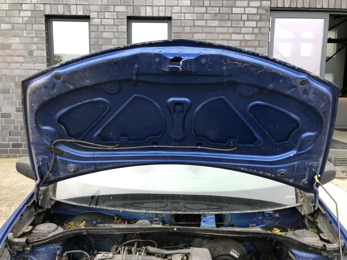 Renault Clio 3 Typ BR Motorhaube Haube Klappe Deckel vorn TERNA Blue