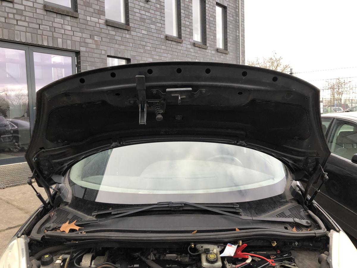 Renault Grand Scenic 3 III JZ Motorhaube TEB66 Haube Bonnet Deckel vorn