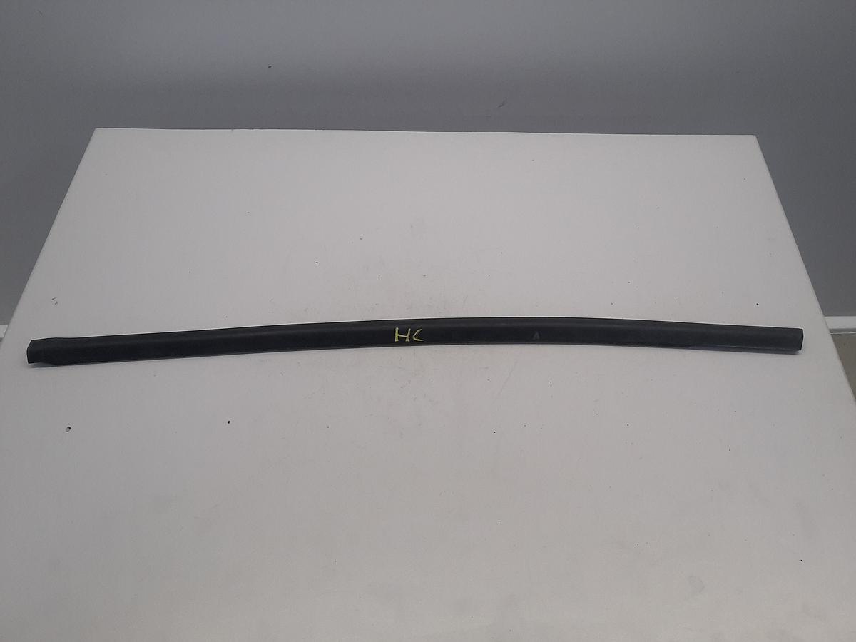 VW ID.3 E11 Bj. 2020 orig Dichtring hinten links Fensterschachtabdichtung