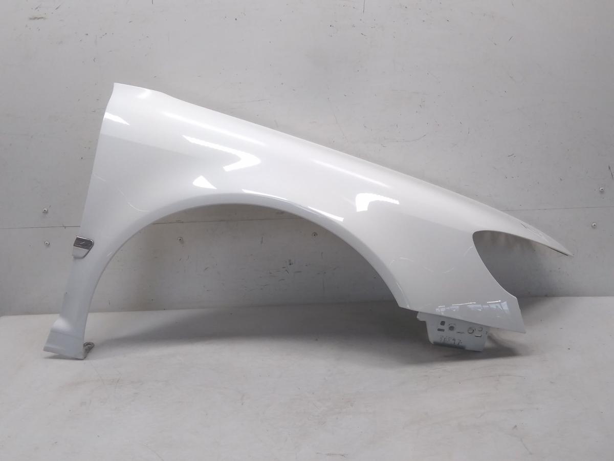 VW Phaeton GP3 und GP4 original Plastik-Kotflügel vorn rechts weiss Bj.2015