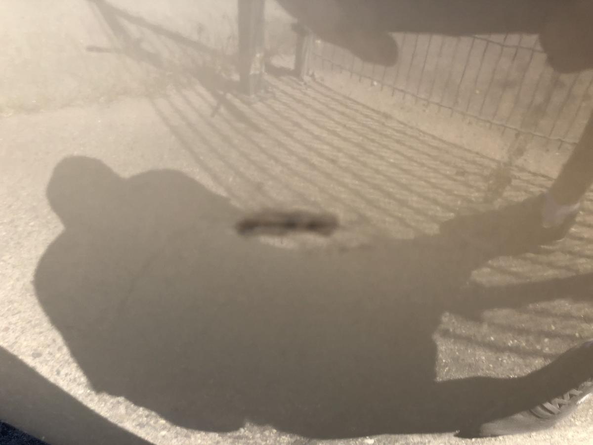 Citroen C4 Typ L Sto&szlig;f&auml;nger hinten Hecksch&uuml;rze 5trg PDC KCW Sable de Langrune