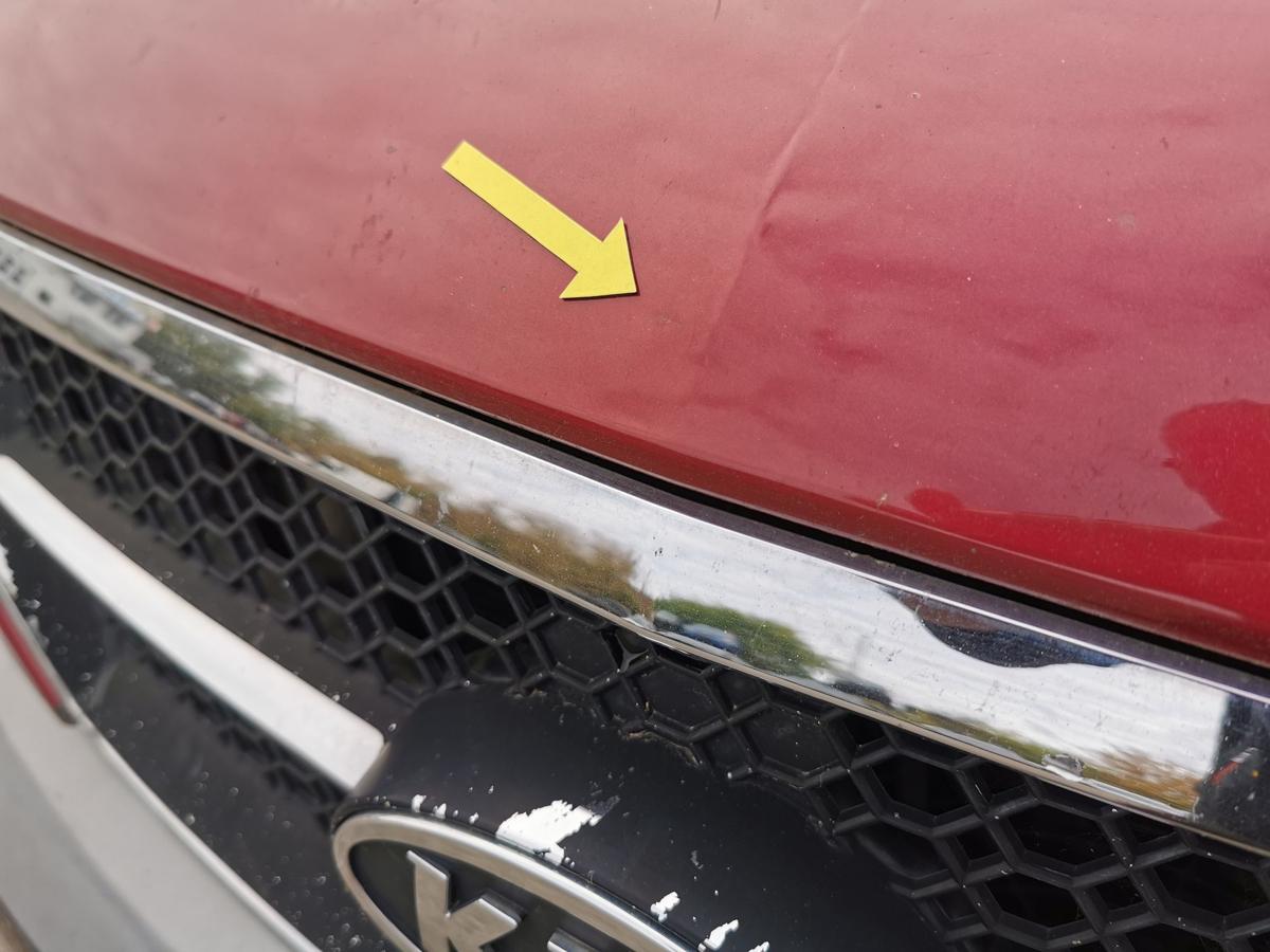 Kia Sorento JC Motorhaube Haube Klappe Deckel Bonnet vorn R9 Ruby Red Met bis 06