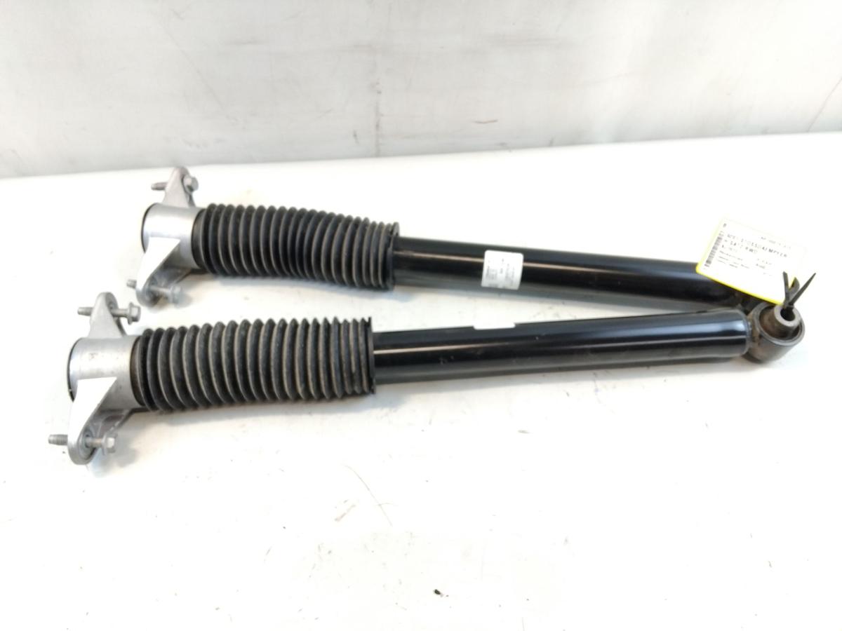 Tesla Model Y RWD original Satz Sto&szlig;d&auml;mpfer hinten Bj.2023