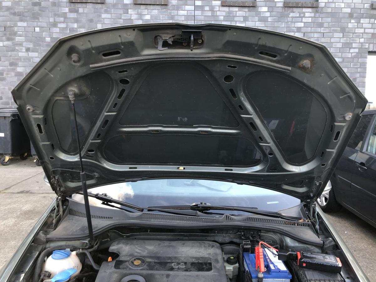 VW Golf 5 V 1K Motorhaube Haube Klappe Deckel vorn LA6Q Sagegreen