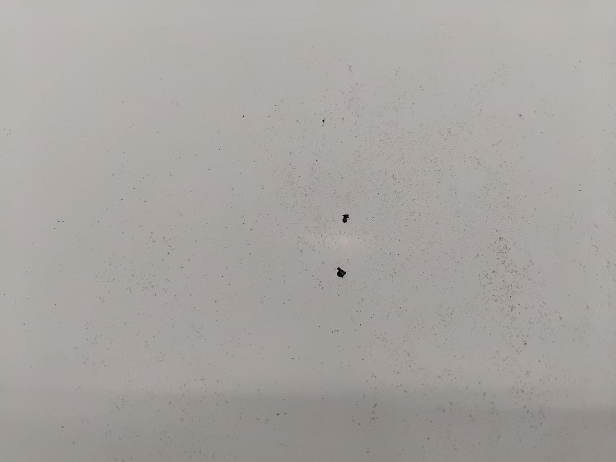 Opel Combo D original Motorhaube Deckel vorn 5PU Polarweiss 249 BJ2014