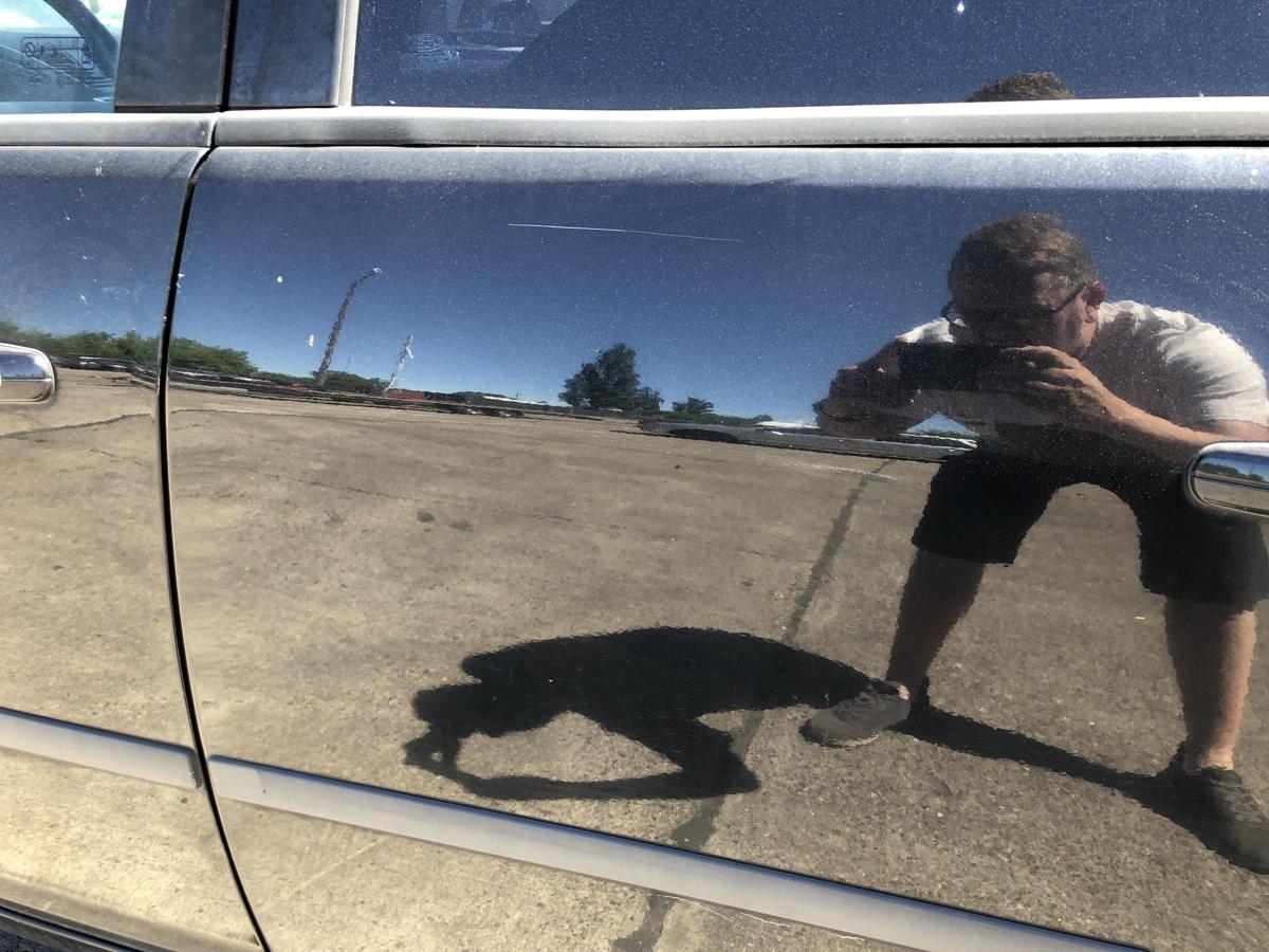 Ford Focus C Max DM2 T&uuml;r hinten links Fondt&uuml;r im Rohbau Pantherschwarz bis 07