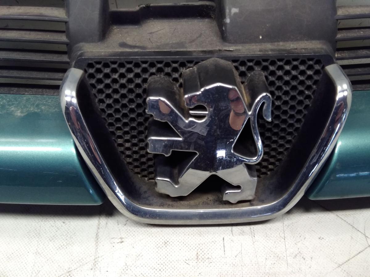 Peugeot 206 original Kühlergrill hellgrünmetallic romarin BJ1999