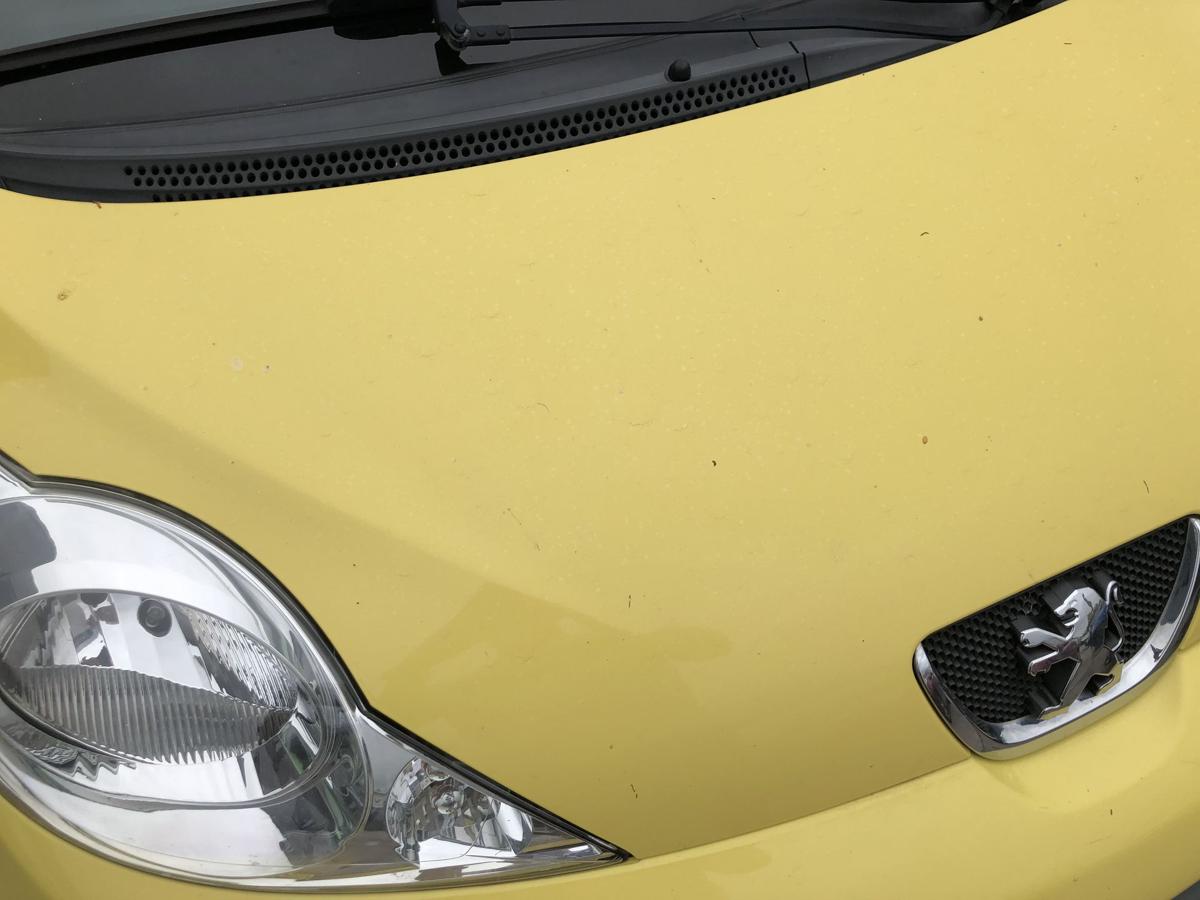 Peugeot 107 Typ P Motorhaube Haube Klappe Deckel vorn KBL Citrus Gelb