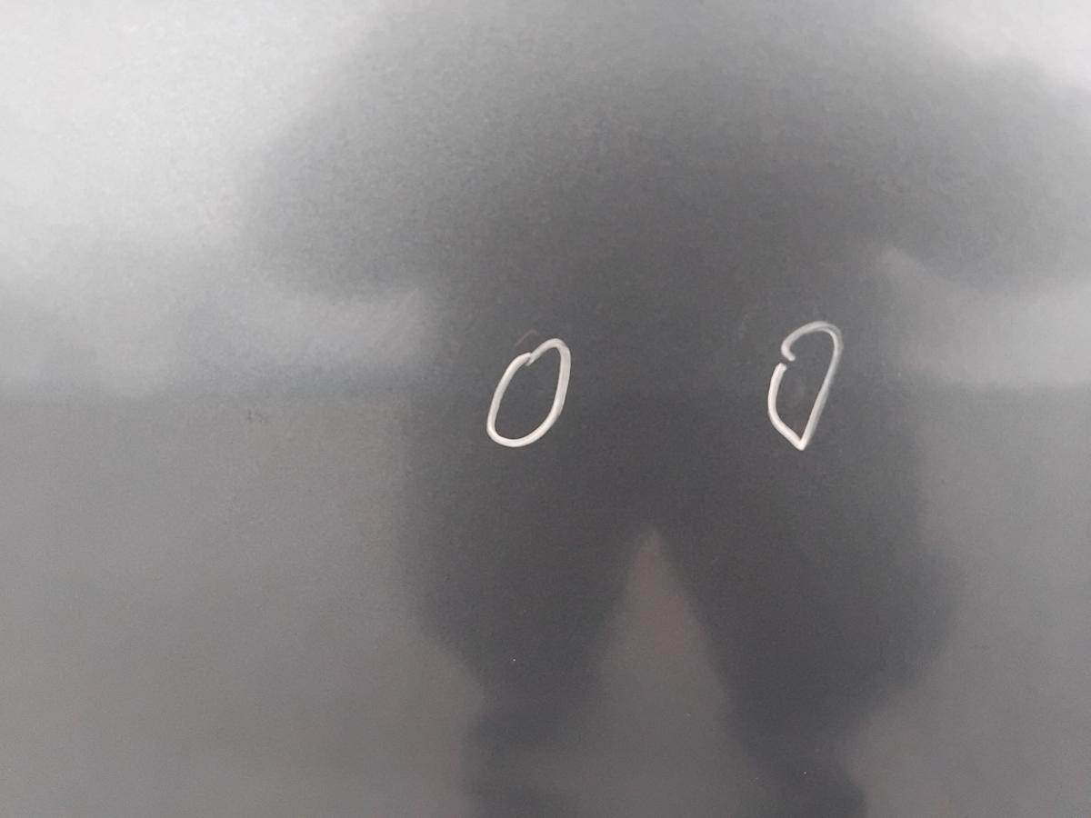 Dacia Sandero 1 Tür vorn links Fahrertür blaumetallic TERNF BJ2009