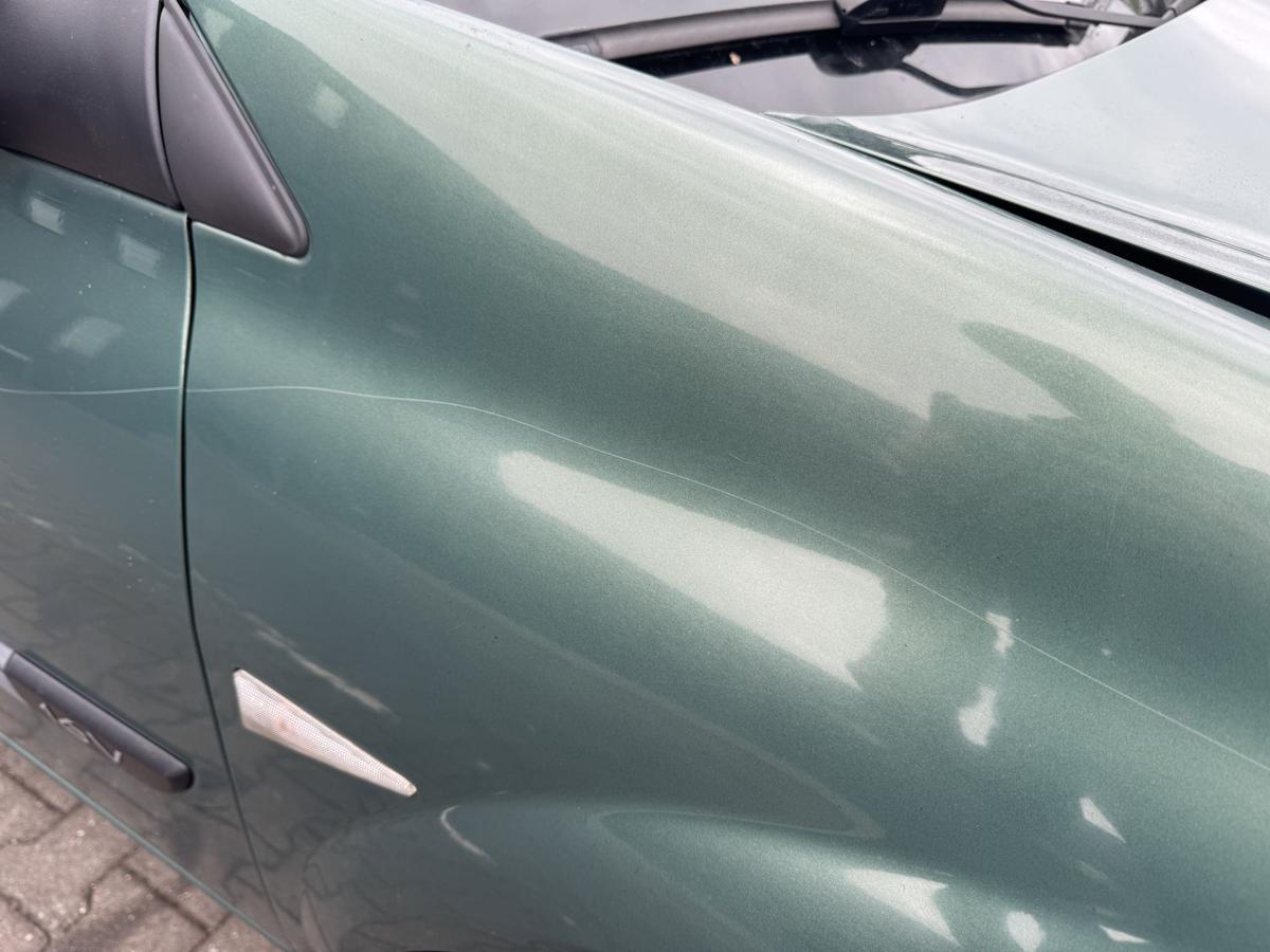 Renault Megane 2 original Kotfl&uuml;gel vorn rechts D96 Vert Giverny Metallic Bj.2004