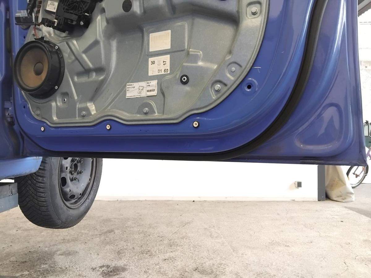 VW Polo 9N3 T&uuml;r vorn rechts Beifahrert&uuml;r 5-t&uuml;rig summerblue LA5F BJ2009