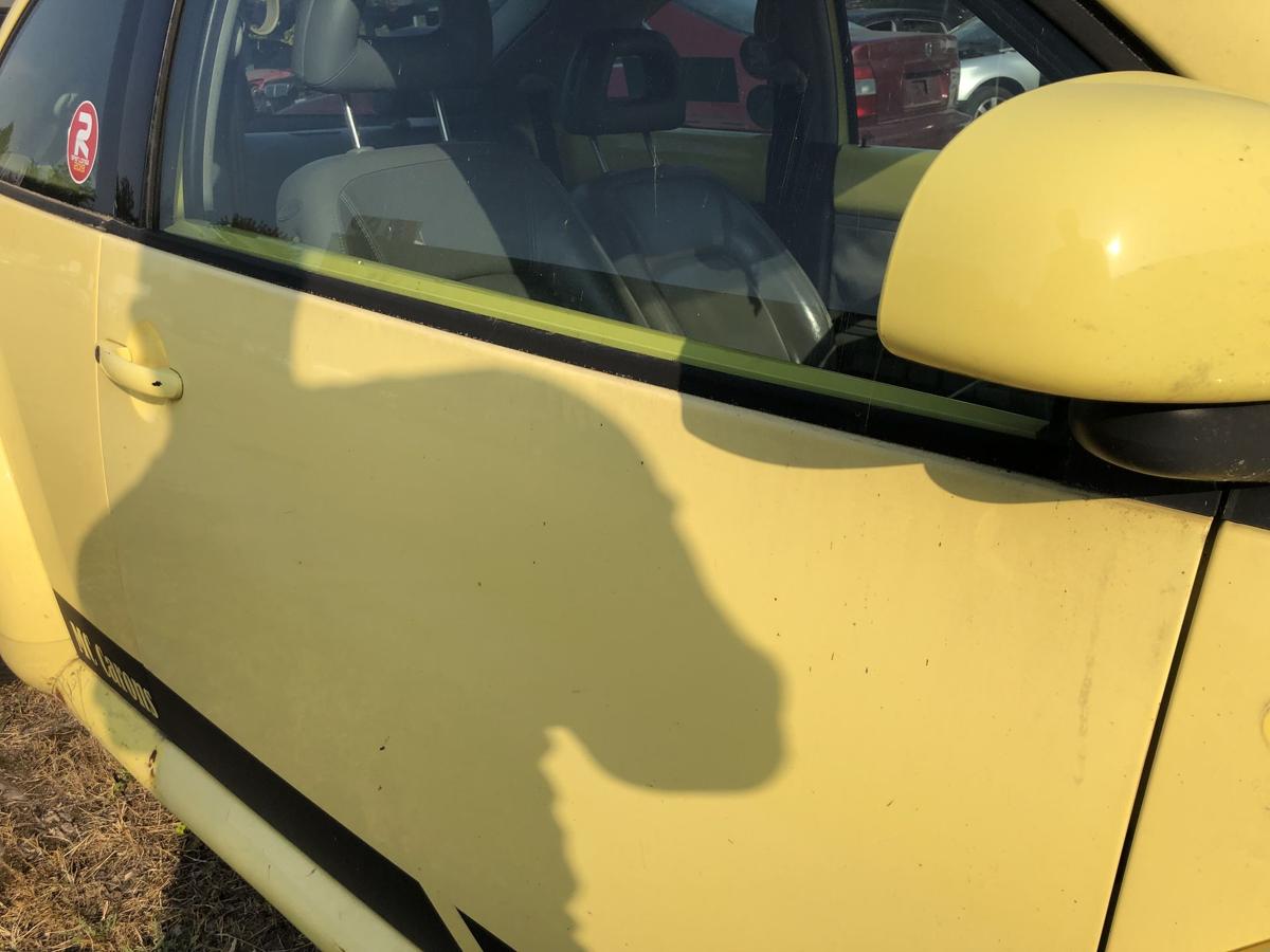 VW New Beetle 9C Tür vorn rechts Beifahrertür Rohbau LD1B Yellow Autotür