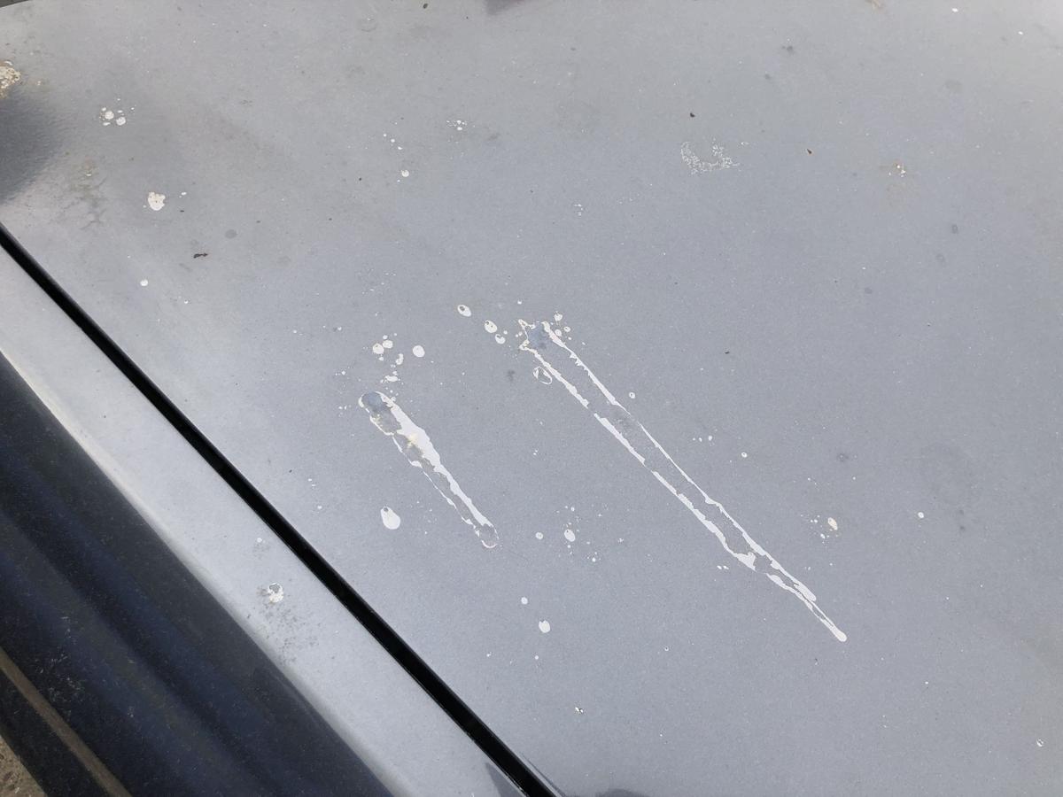 Opel Vectra C Caravan ab05 Motorhaube Haube Klappe Deckel vorn 4XU Metroblau