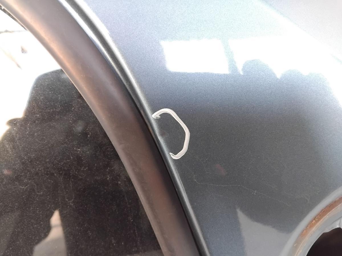 Dacia Sandero 1 Tür vorn rechts Beifahrertür blaumetallic TERNF BJ2009