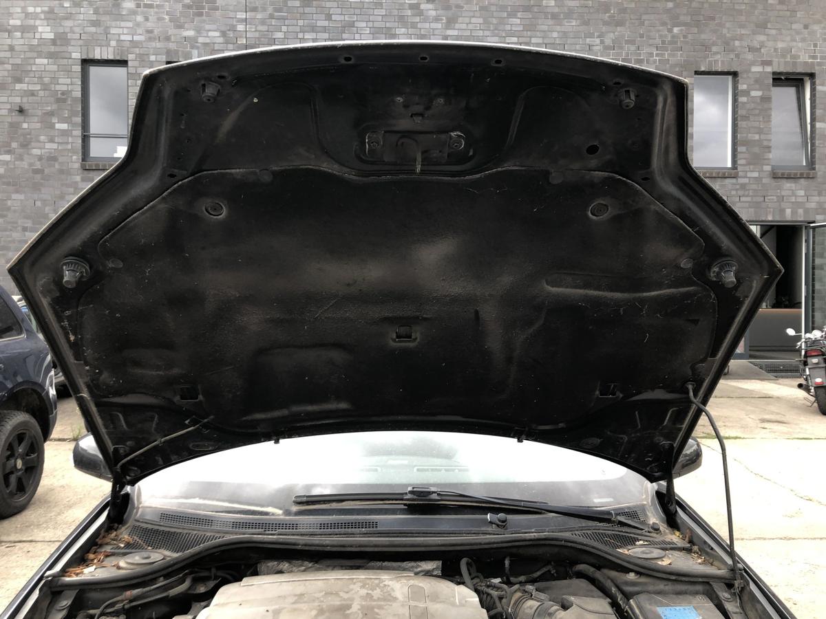 Renault Laguna III 3 Motorhaube Haube Klappe Deckel vorn NV676 Black Noir Nacre