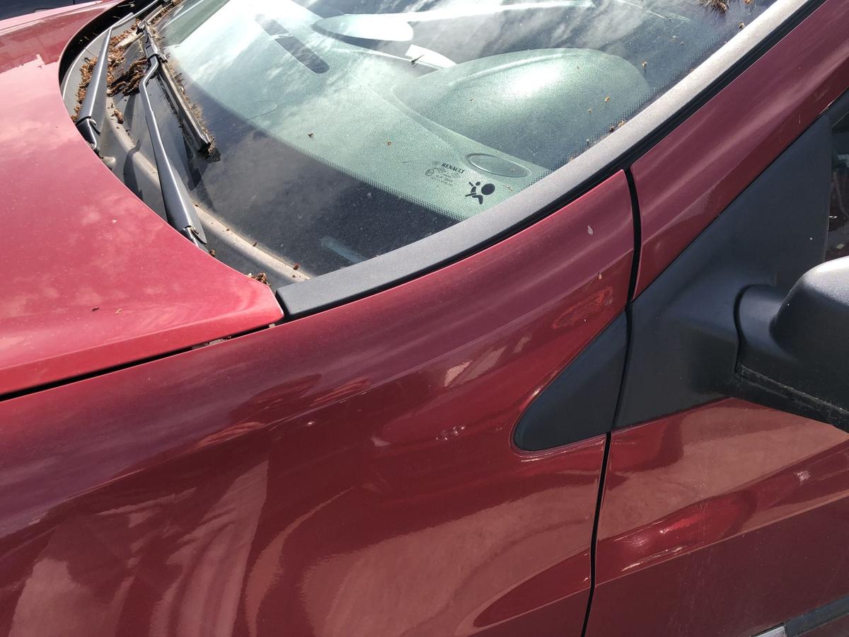 Renault Clio 3 III alle Modelle Kotfl&uuml;gel links Fahrerseite NNJ rot nur 15 Zoll