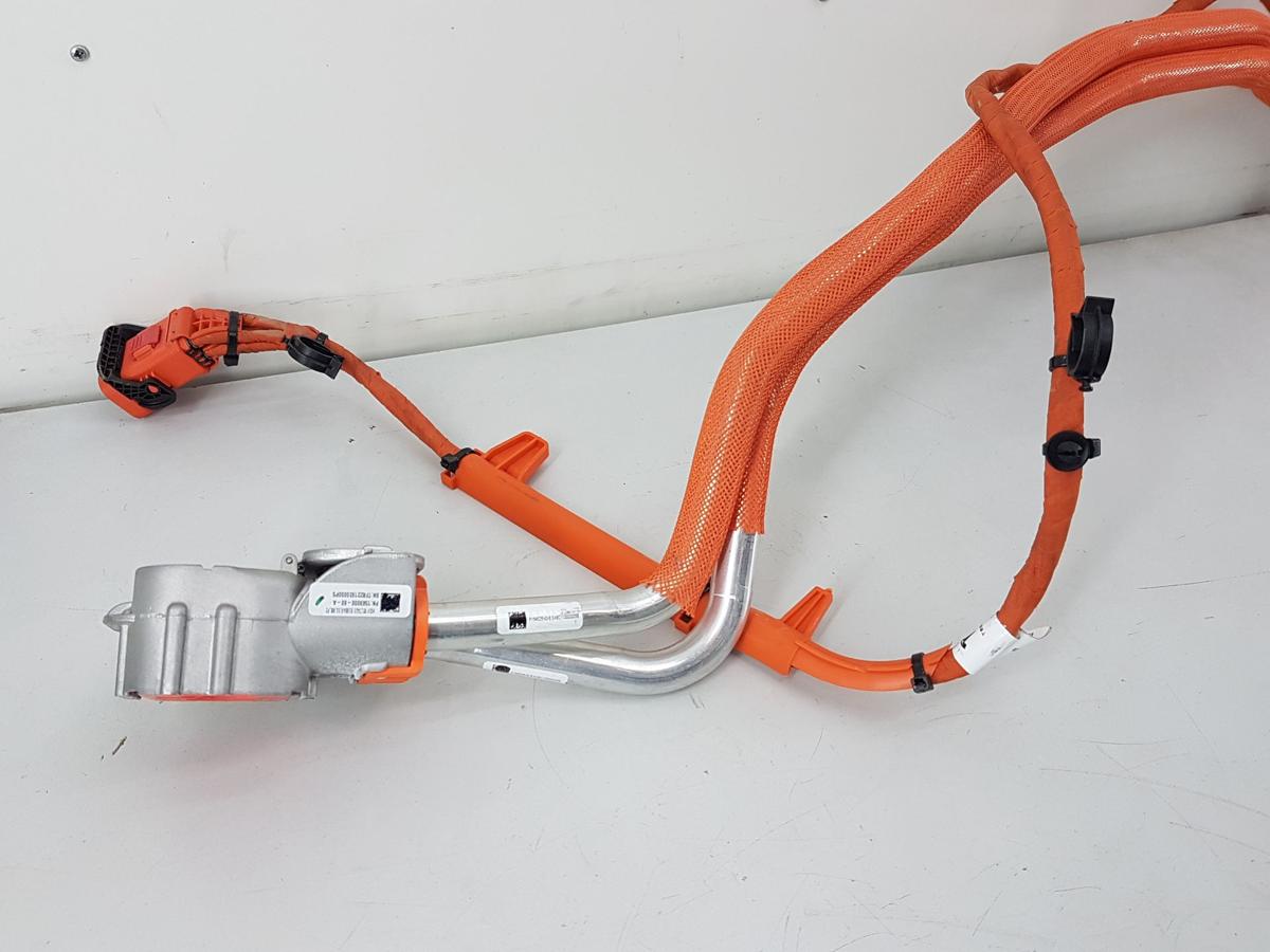Tesla Model X Hochvoltleitung Ladekabel Bj2022 1569000-60-A mit Ladedose