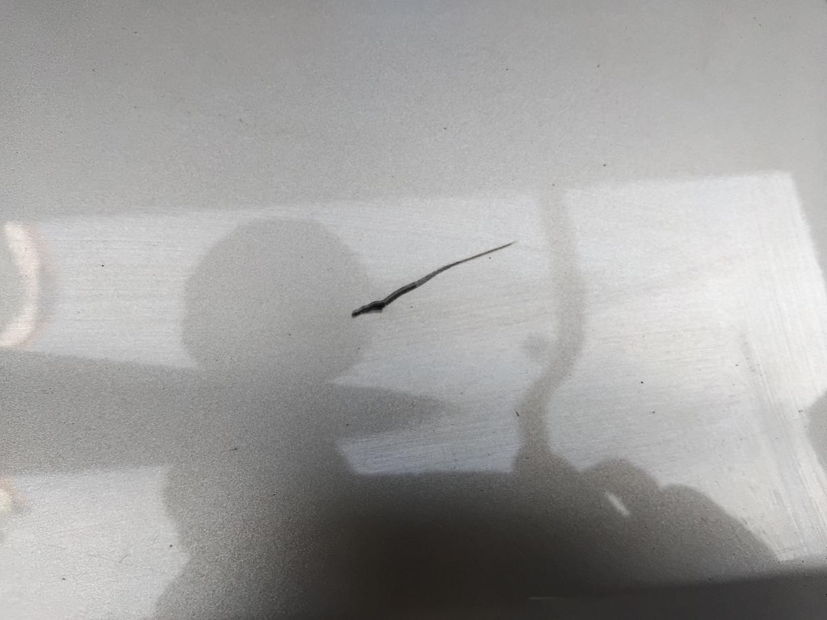 Renault Clio 3 T&uuml;r vorn rechts Beifahrert&uuml;r 5-t&uuml;rig TED11 Beige Poivre BJ2005